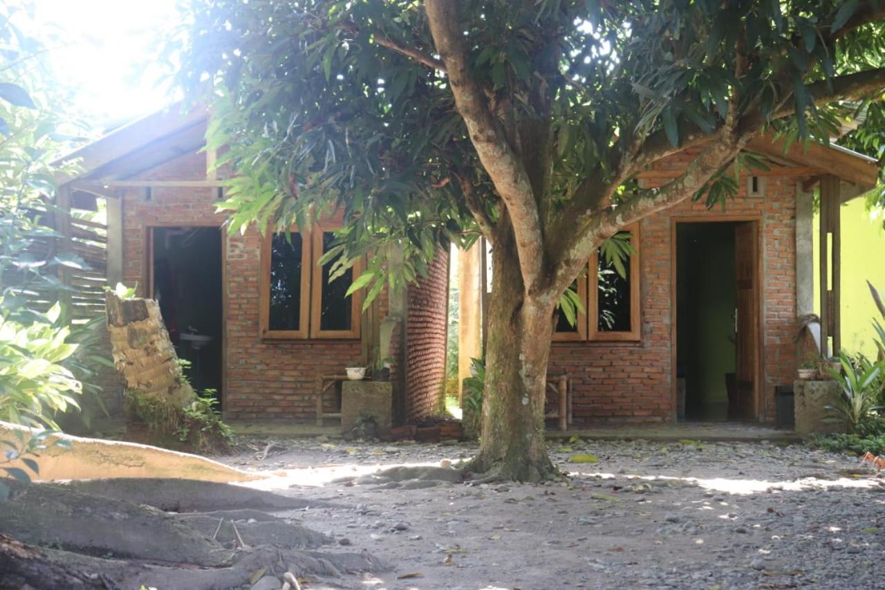 Jhony'S Backpacker-Guest House Only Stay Here Book Treking With Us Bukit Lawang Bagian luar foto