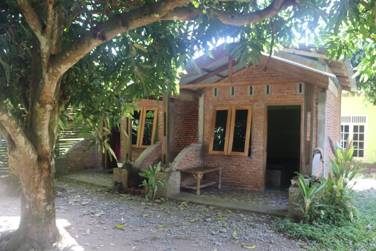 Jhony'S Backpacker-Guest House Only Stay Here Book Treking With Us Bukit Lawang Bagian luar foto